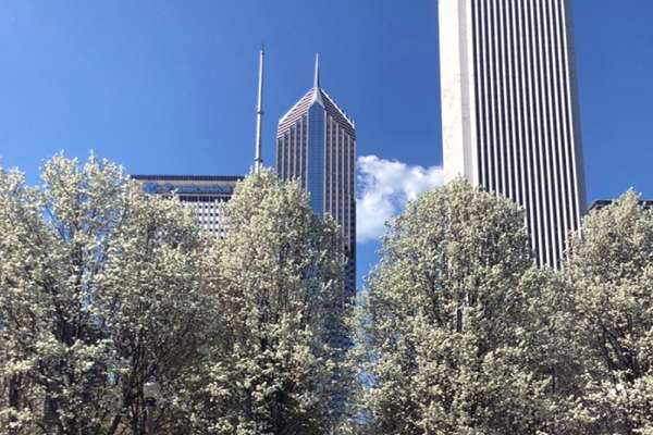 Discounts in Chicago